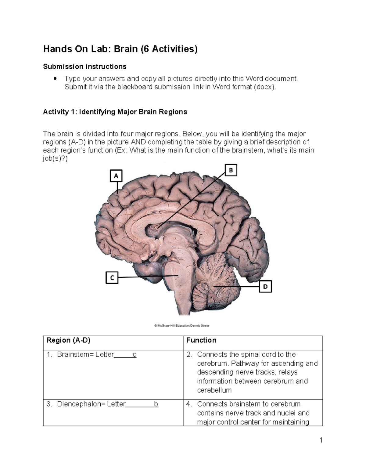 Lab 8: Hands-On Brain Activities (N24) Submission Guide - Studocu