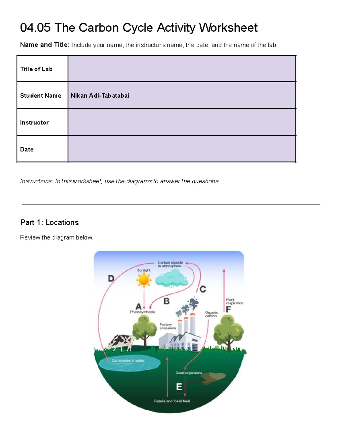 Carbon Cycle Lesson Plan High School