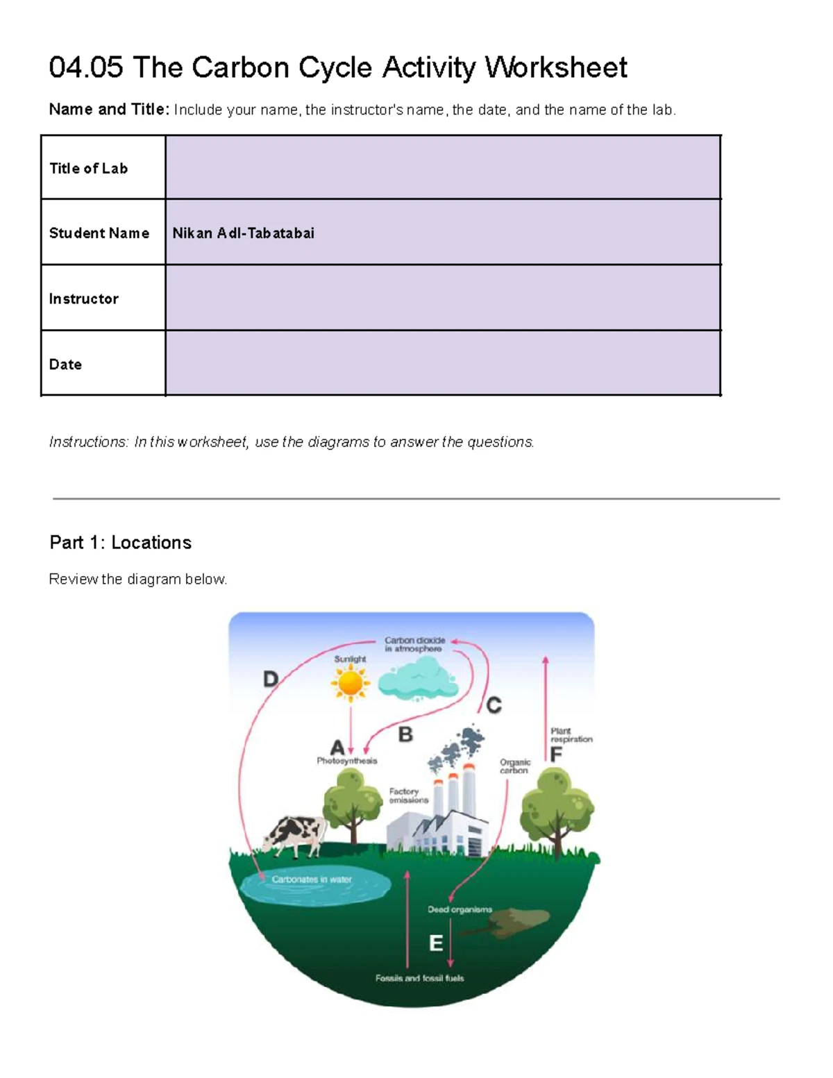 04.05 Carbon Cycle Activity Worksheet - Studocu