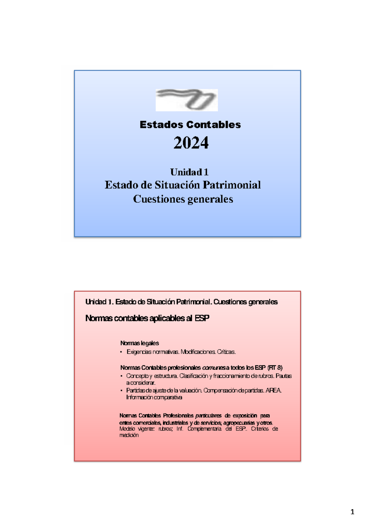 ESP-Contabilidad 2024: Estado de Situación Patrimonial y Normas - Studocu