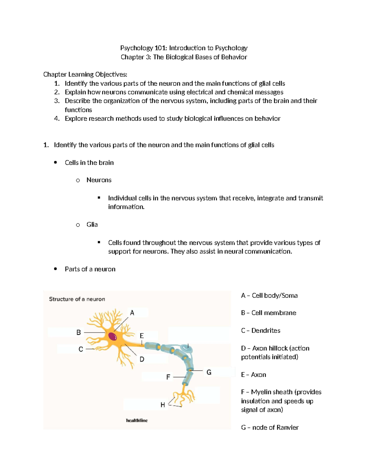 Psychology 101: Final Exam Study Guide on Biological Bases of Behavior ...