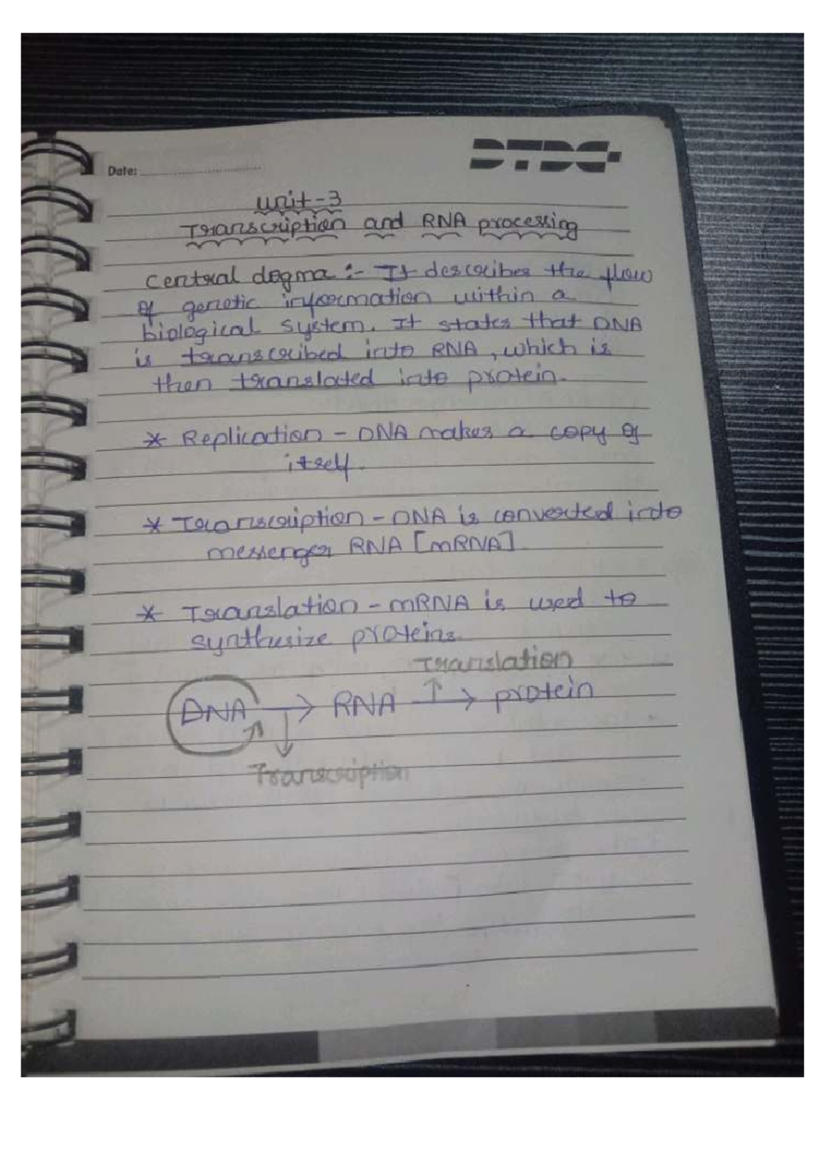 UNIT 3 - Transcription and RNA Processing Overview - Studocu