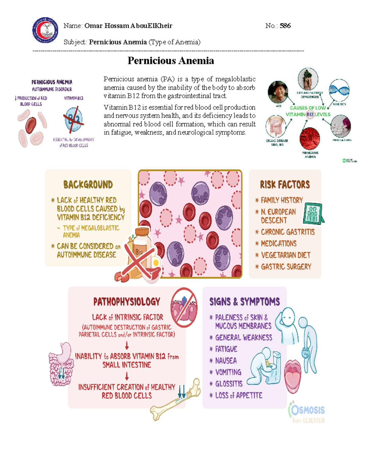 What Is Pernicious Anemia And What Causes It