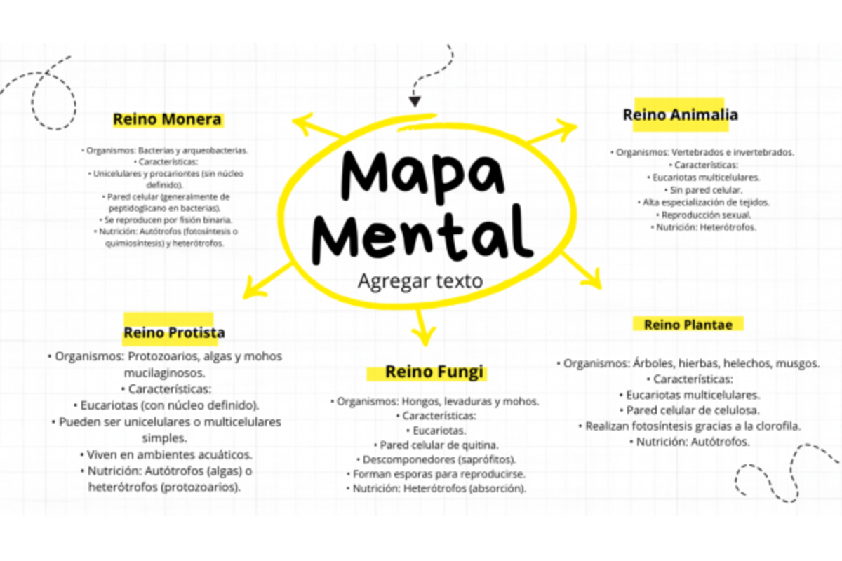 Mapa Mental y Cuadro Sinóptico: Reinos Monera, Animalia, Plantae y Fungi -  Studocu