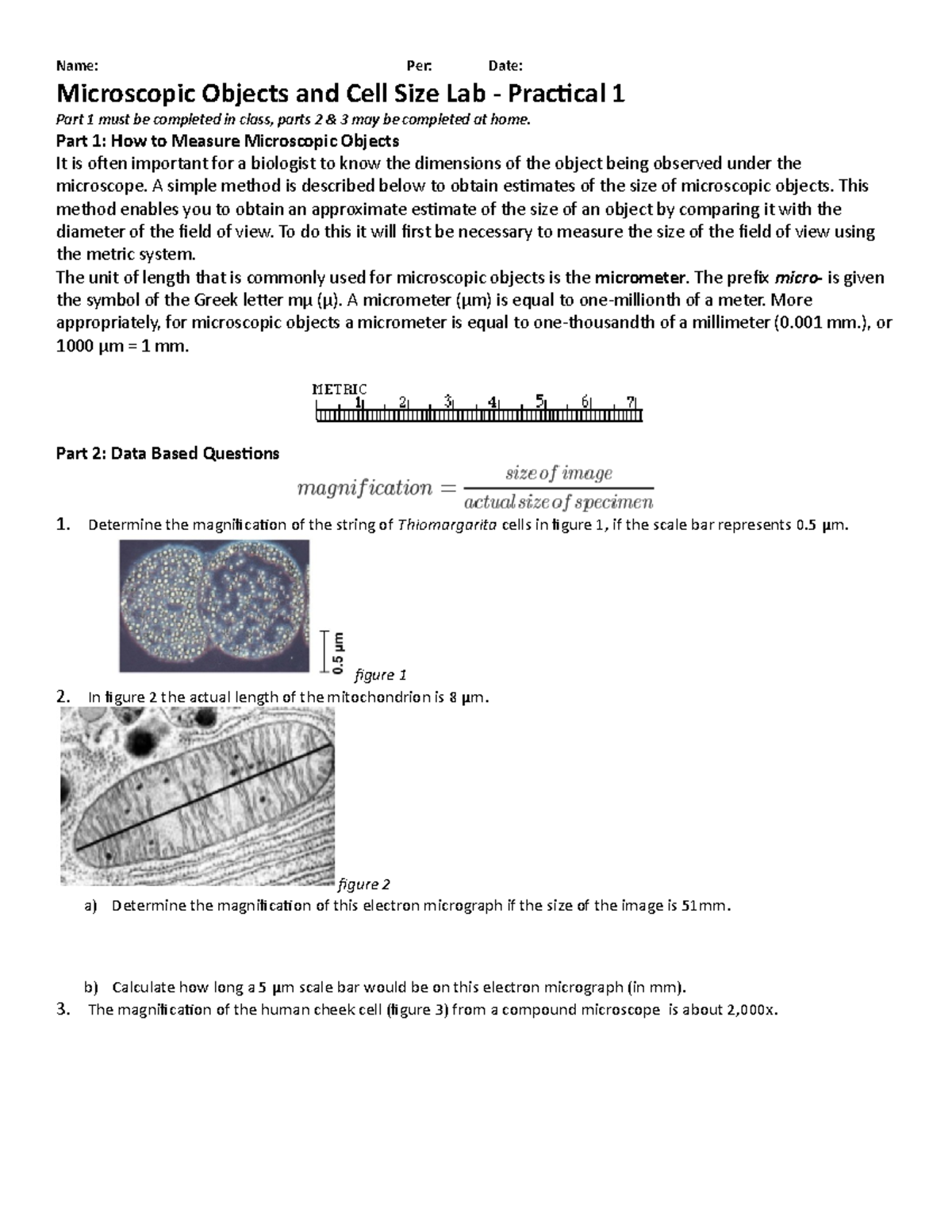 Magnification Activity - Name: Per: Date: Microscopic Objects and Cell ...