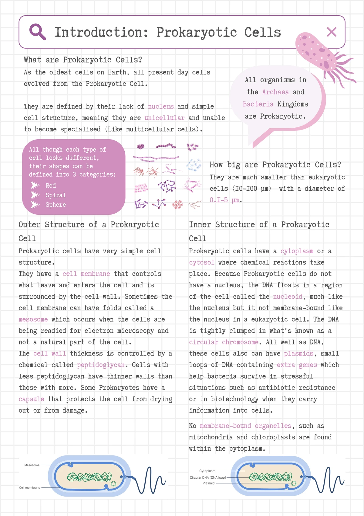 Module 1: Foundations in biology - notes on cells and their processes ...