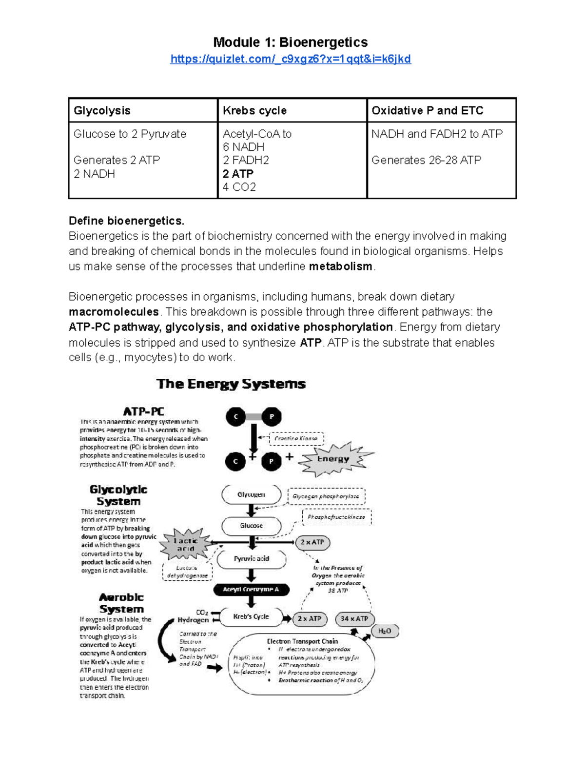 Bioenergetics Study Guide: Module 1 Overview for EXSC 101 - Studocu