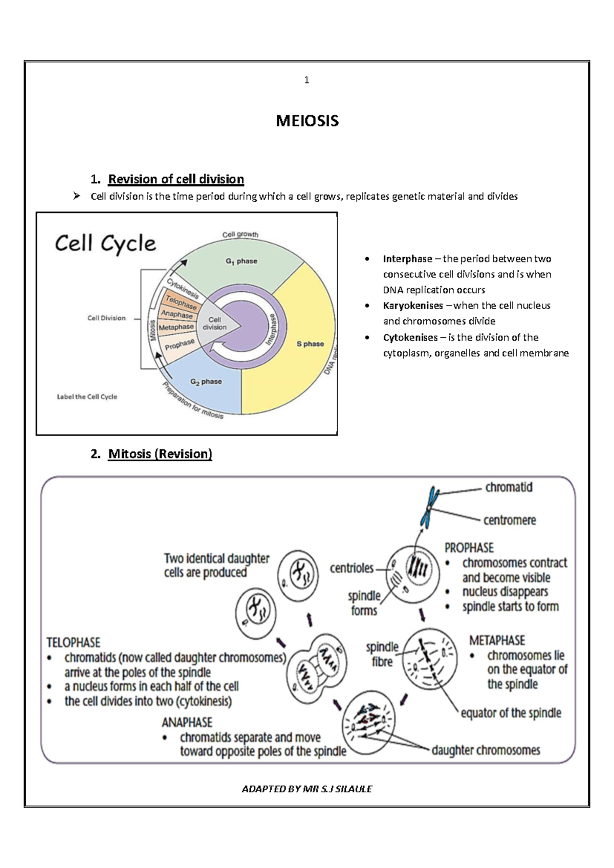Meiosis Study Notes - Overview, Stages & Differences (Biology 101 ...