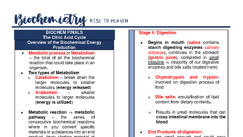 Biochemistry RISE TO HEAVEN: Final Exam Notes on Citric Acid Cycle and ...