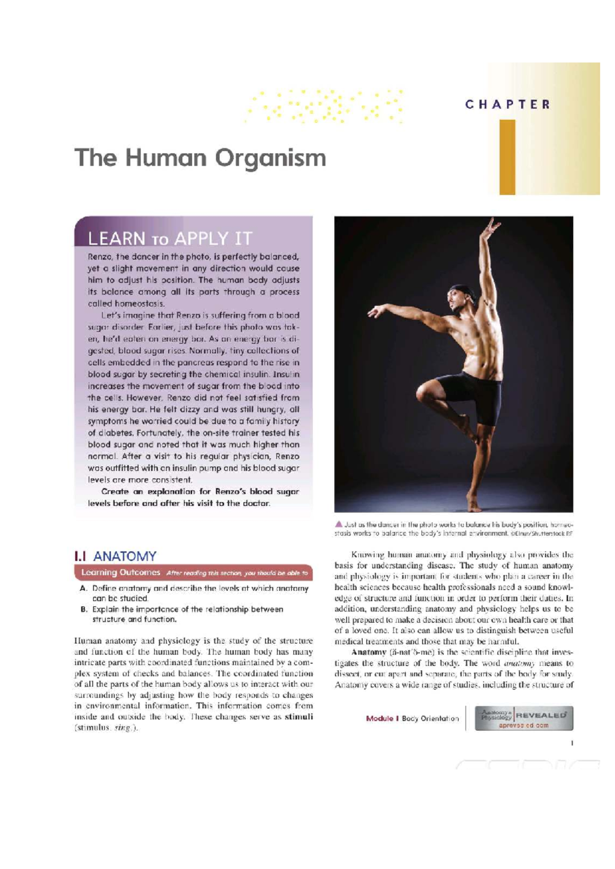 CHAPTER 1: The Human Organism - Anatomy & Physiology Overview - Studocu