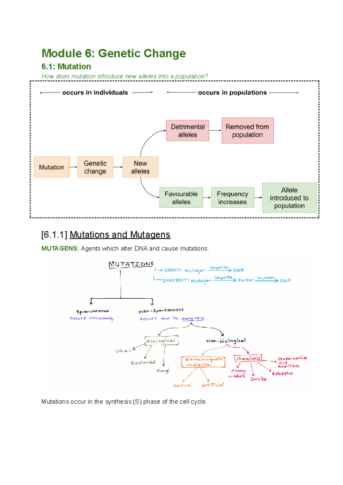 Genetic Change Summary - Module 6: Genetic Change 6: Mutation How does ...