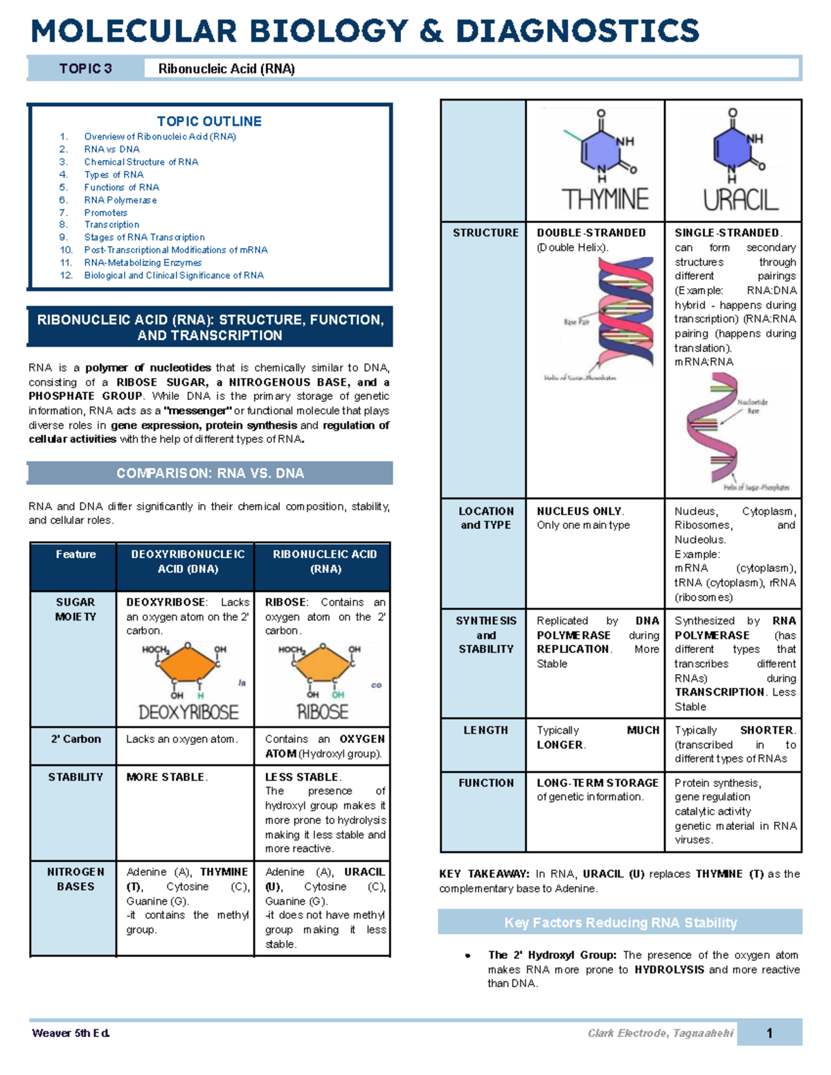 MOLECULAR BIOLOGY DIAGNOSTICS: TOPIC 3 - Ribonucleic Acid (RNA ...