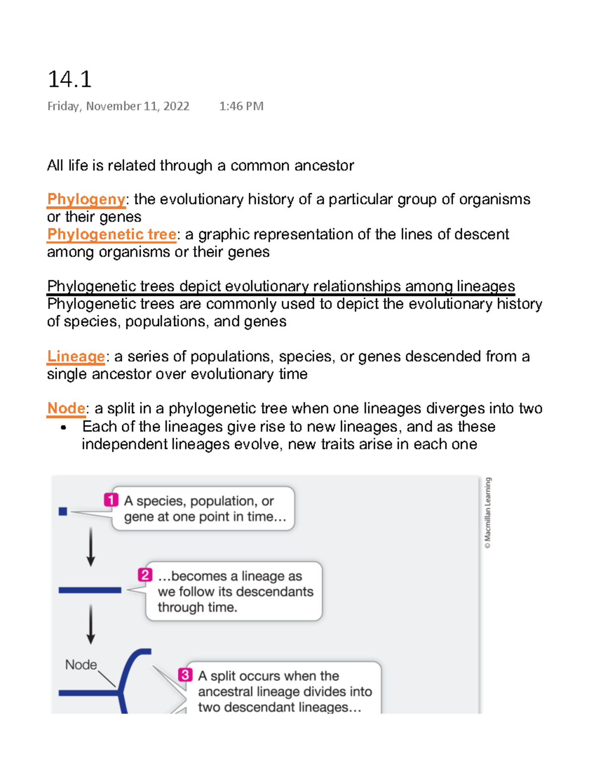 14 - Chapter 14.1: Evolutionary Relationships in Phylogenetic Trees ...