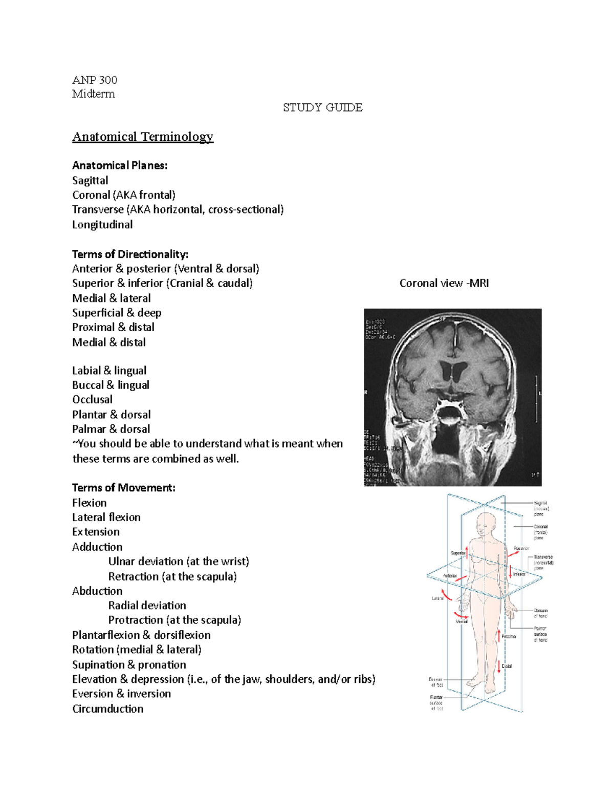 ANP 300 - Midterm Study Guide: Lecture Notes 1-9 Overview - Studocu
