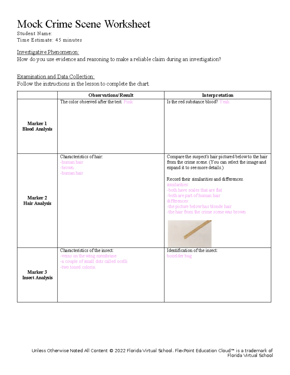 Forensics 4.01: Pattern Evidence Knowledge Survey & Evaluation Guide ...