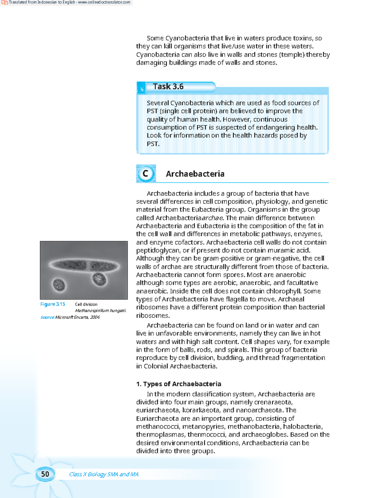 Eubacteria and Archaebacteria: Characteristics and Roles in Life - Studocu