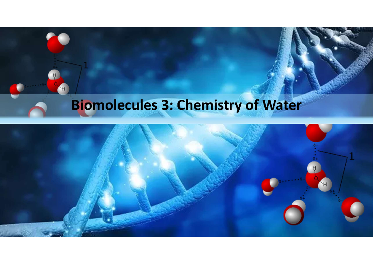 Biomolecules 3: Lecture Notes on Water's Role in Life - Studocu