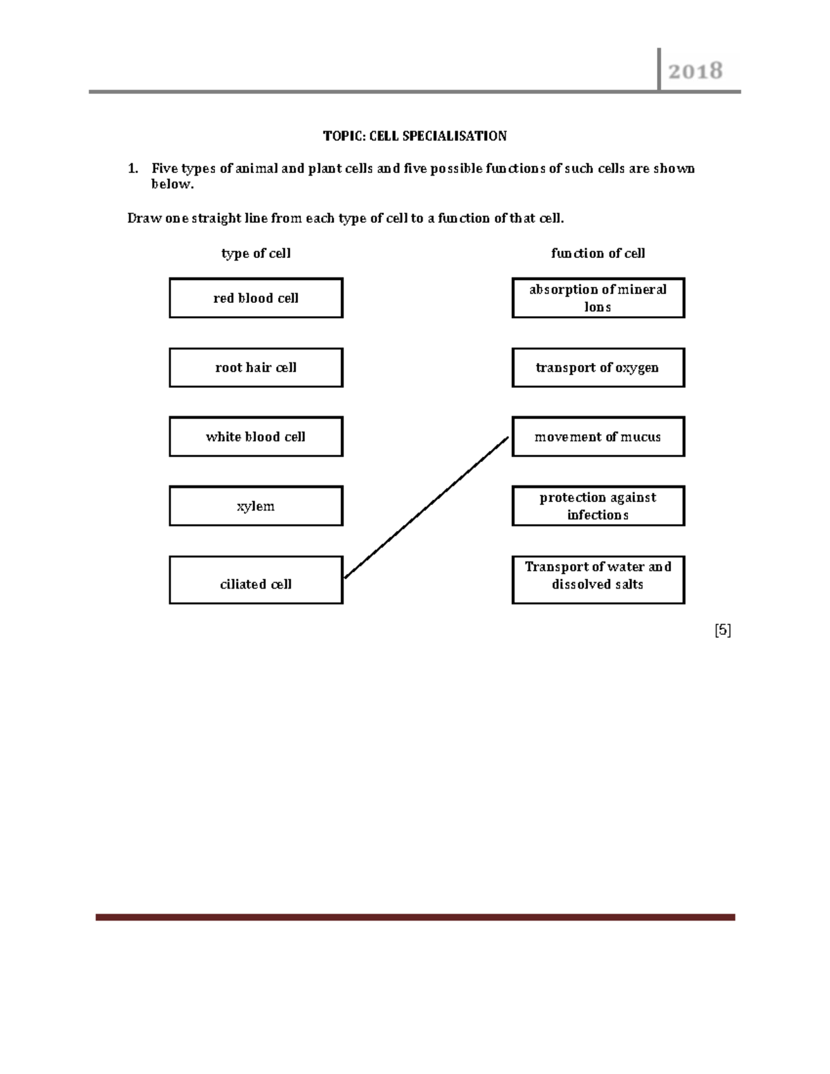 Cells & Photosynthesis: Specialisation and Functions in Plants and ...