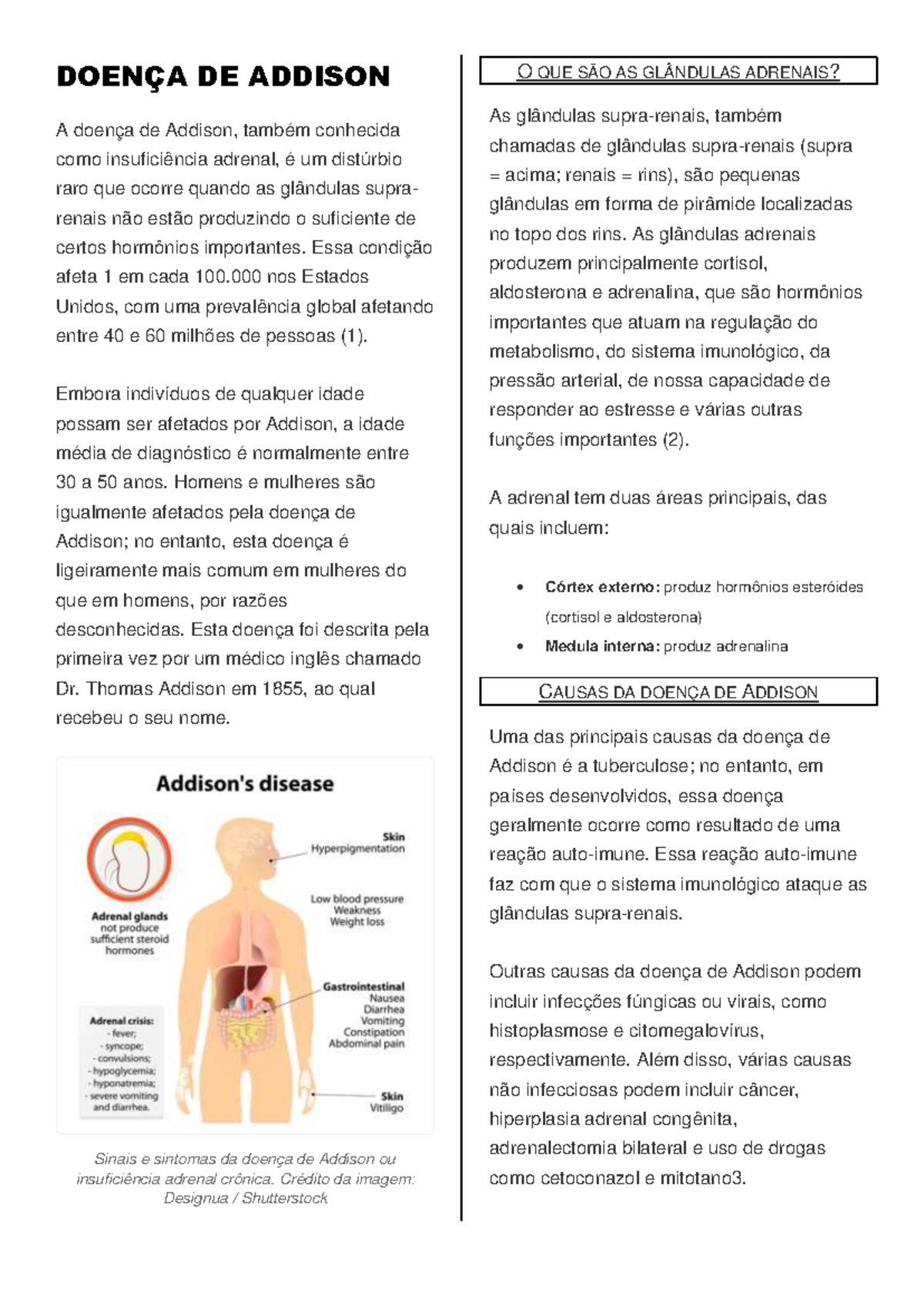 Doenca De Addison Causas Sinais E Sintomas Diagnostico E Tratamento