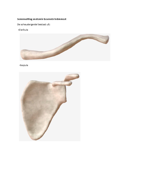 Anatomie Gymnastiek - Anatomie 1. Vlakken Transversaal: vb pirouette ...