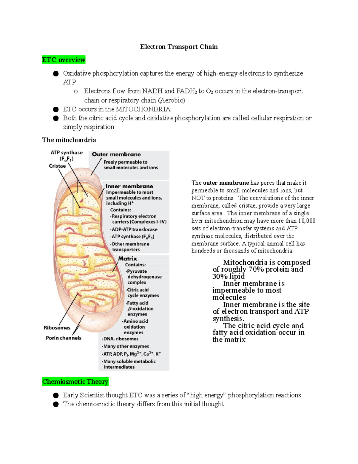 15. Biochemistry ETC - Detailed Lecture Notes on Electron Transport ...
