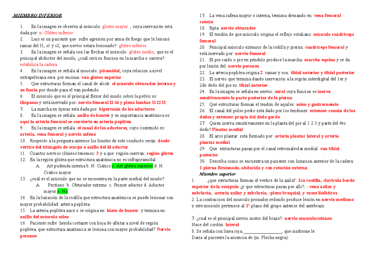 Examen Parcial DE Anatomía - Miembro Inferior y Superior - A - Document Preview