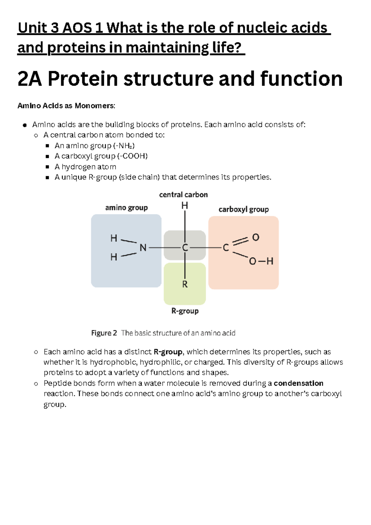 Chapter 2 Biology notes - Unit 3 AOS 1 What is the role of nucleic ...
