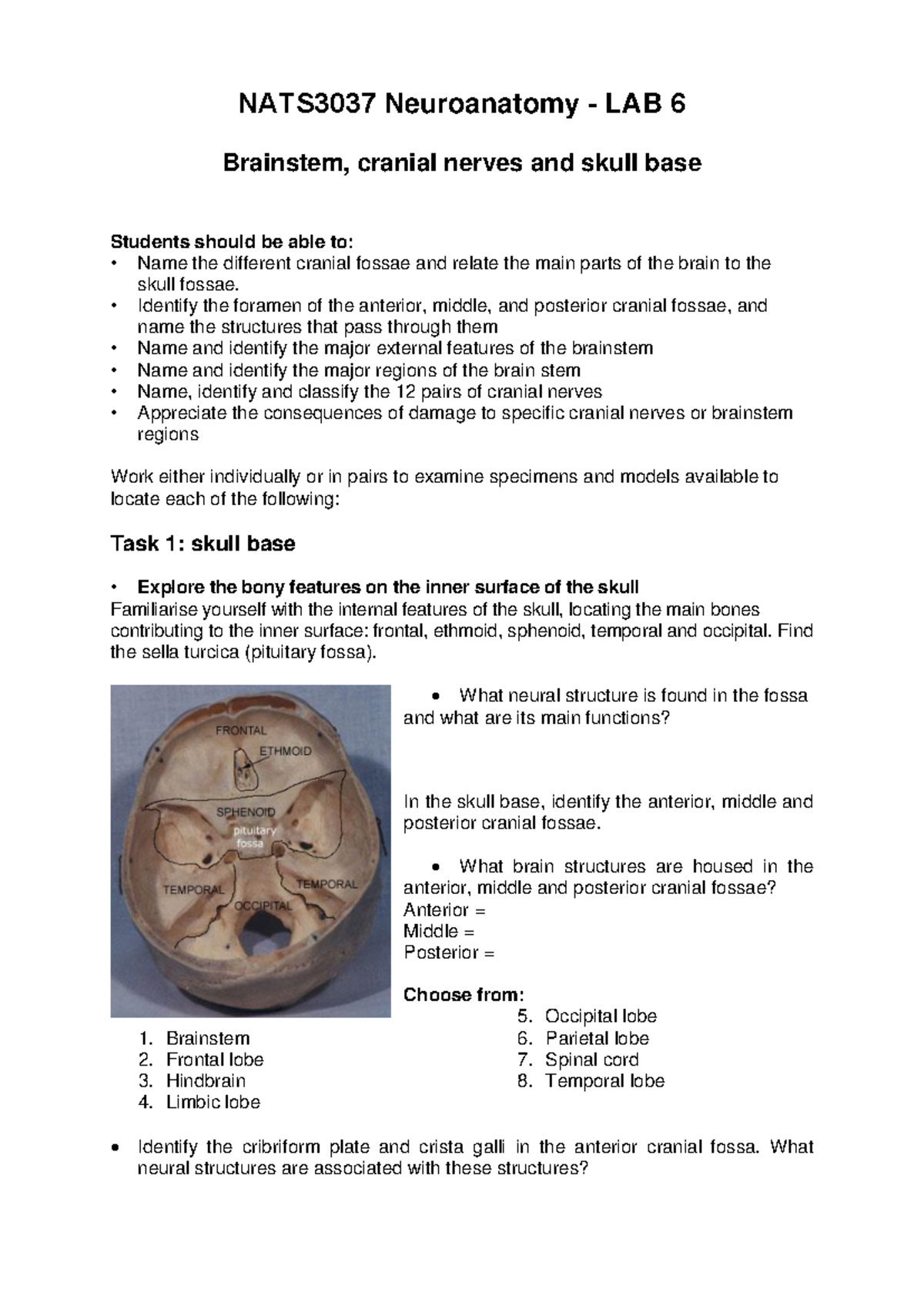 NATS3037 Lab 6: Exploring Brainstem & Cranial Nerves Anatomy - Studocu