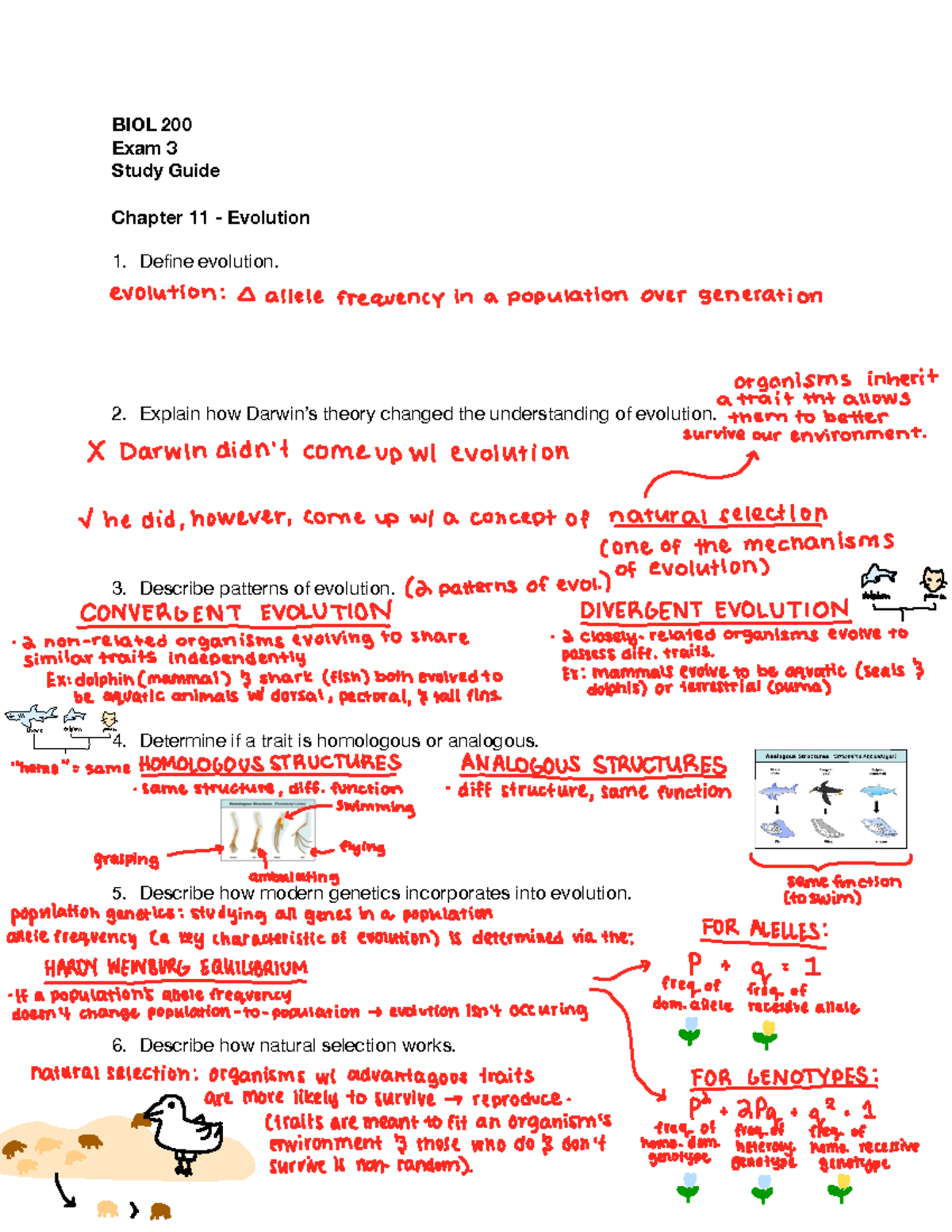 BIOL 200 Exam 3 Study Guide: Evolution Concepts & Mechanisms - Studocu