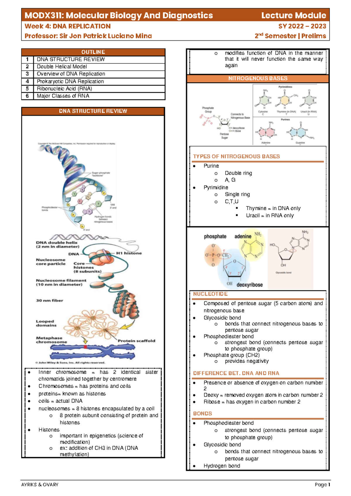 MODX311 LEC WEEK 4: Overview of DNA Replication and Structures - Studocu