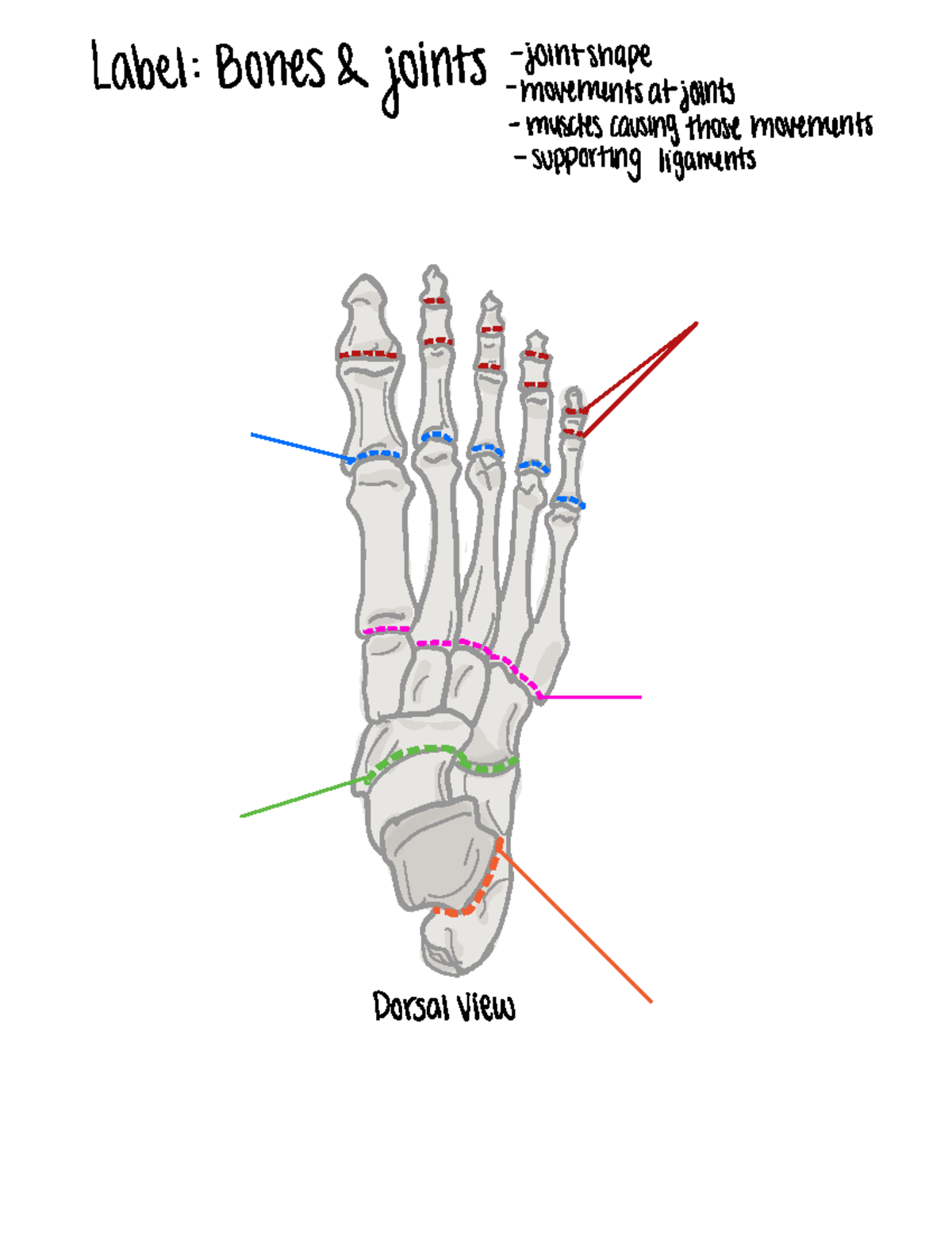 PRACTITIONER'S GUIDE TO THE DIZZY PATIENT, image size:1200x1576