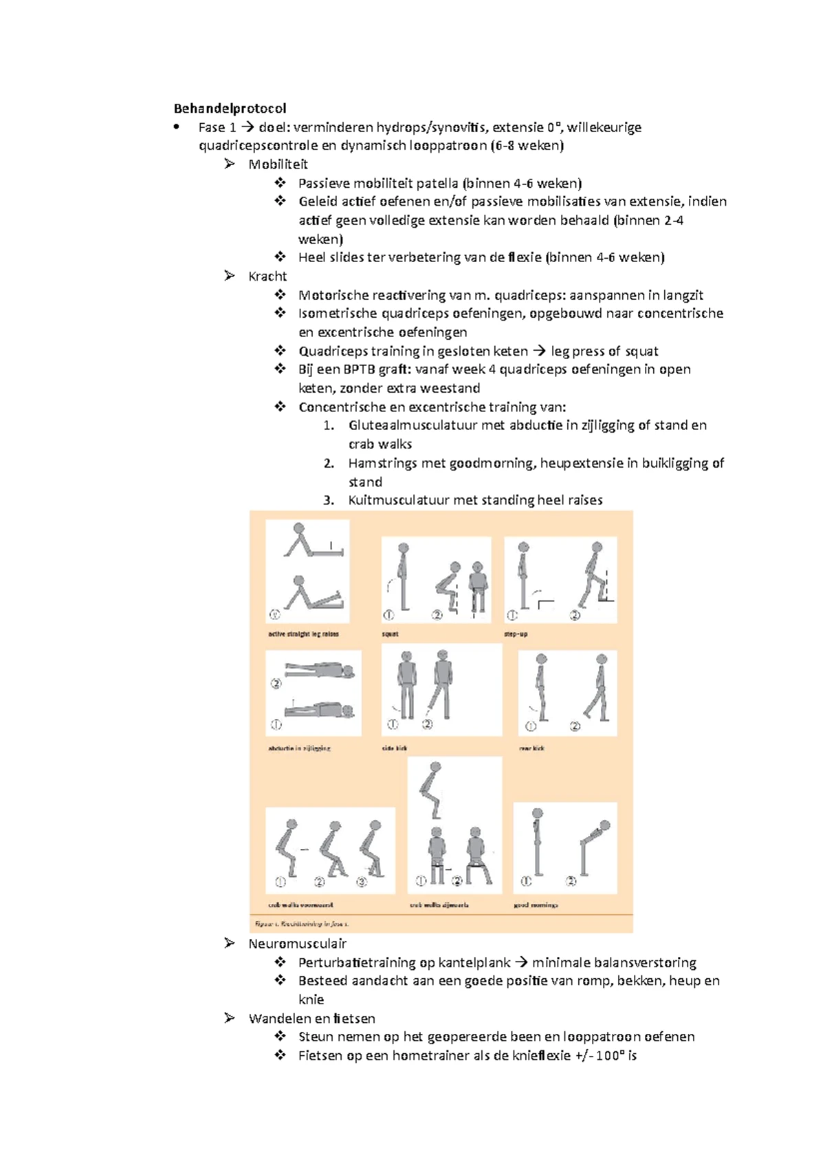 Hol mushuklar pornosini onlayn tomosha qiling