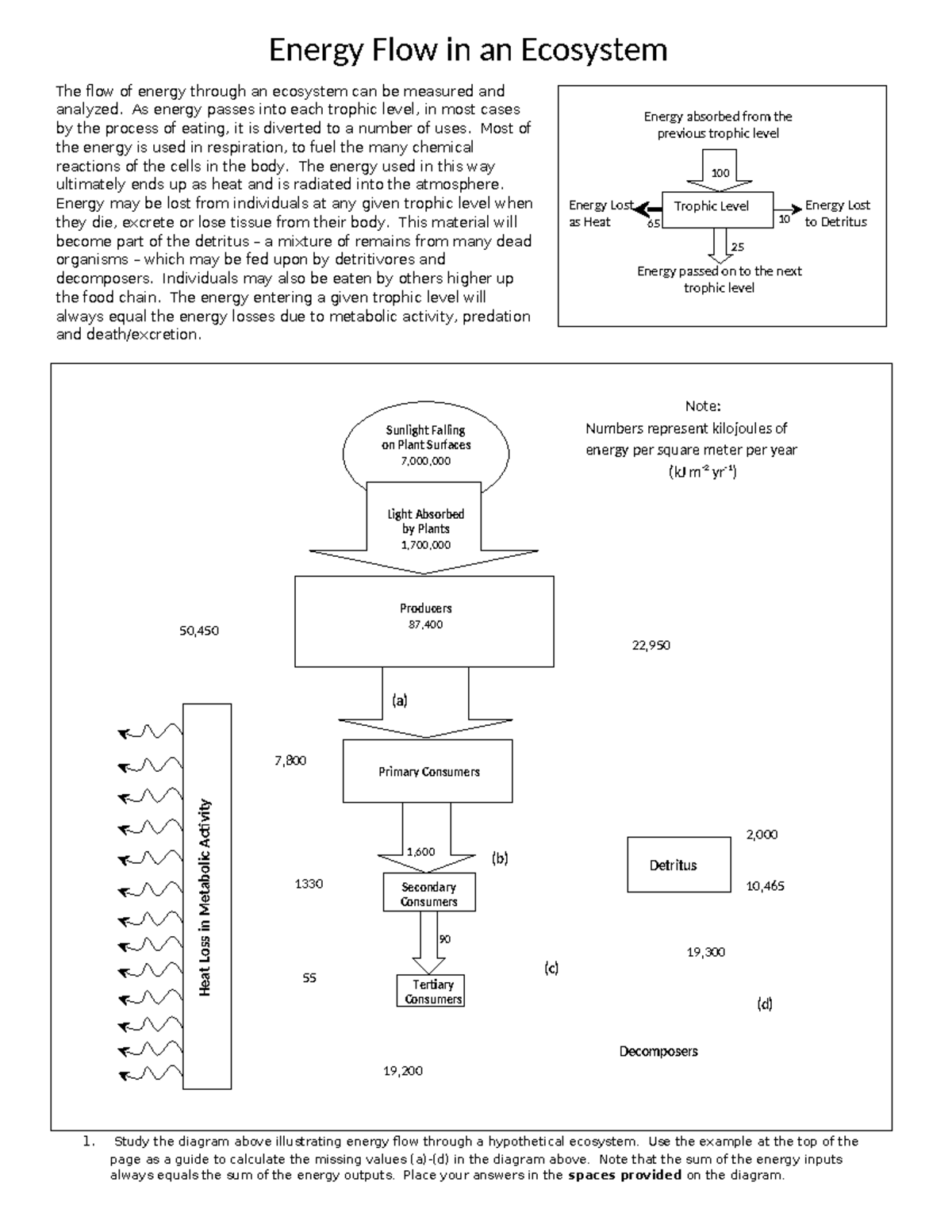 Energy flow in an ecosystem ecofont - Energy Lost Trophic Level as Heat ...