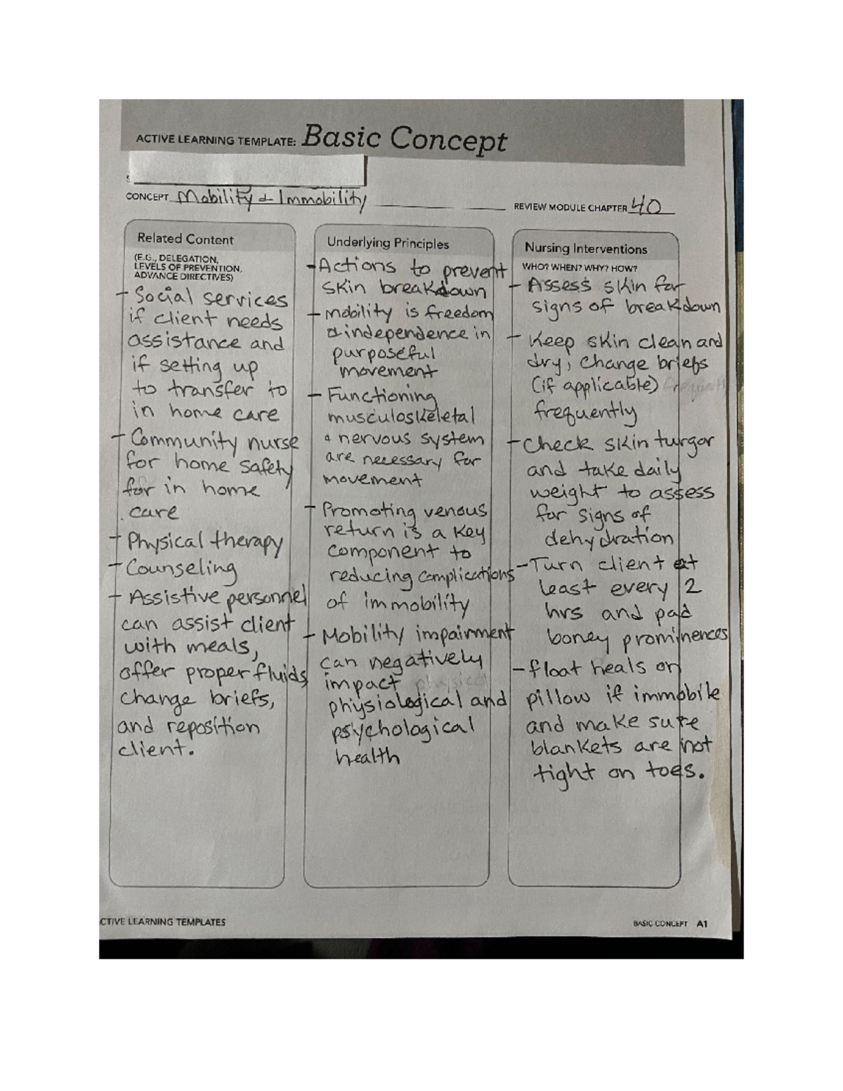 ATI ALT Basic Concept Mobility and Immobility - ACTIVE LEARNING ...