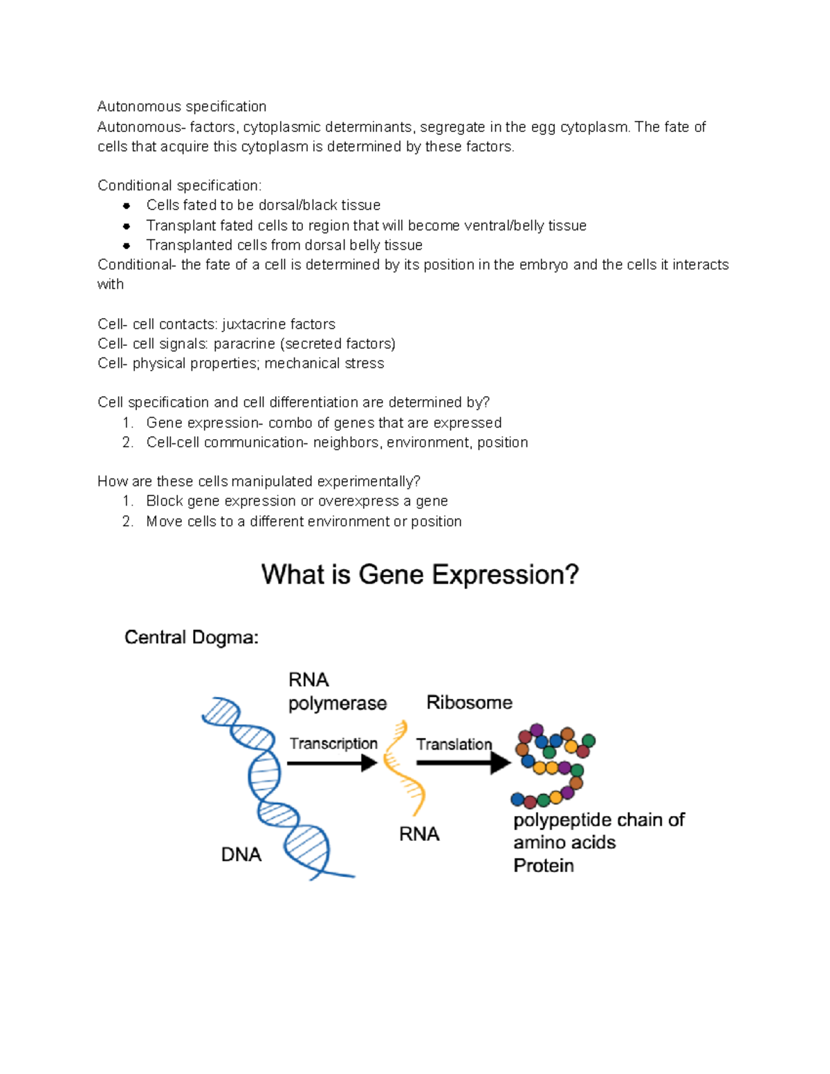 Bio 423 Lecture Notes: Differential Gene Expression Mechanisms - Studocu