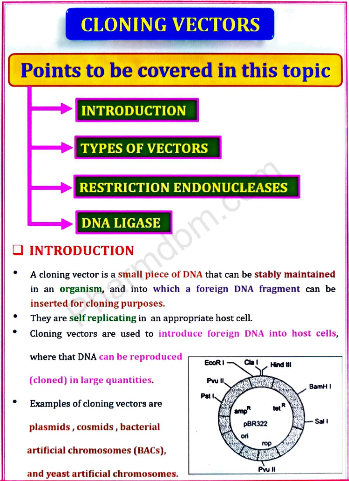 Biotechnology - Unit 3: Cloning Vectors and Recombinant DNA Techniques ...