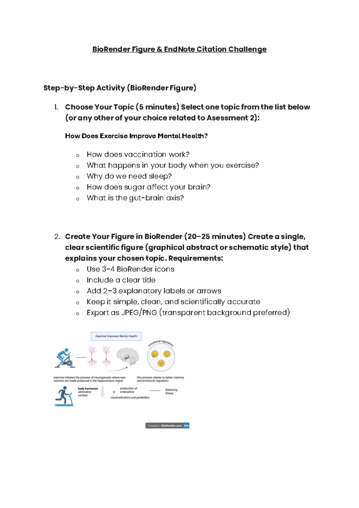 BioRender Figure Creation Guide for Assessment 2 Activity - Studocu