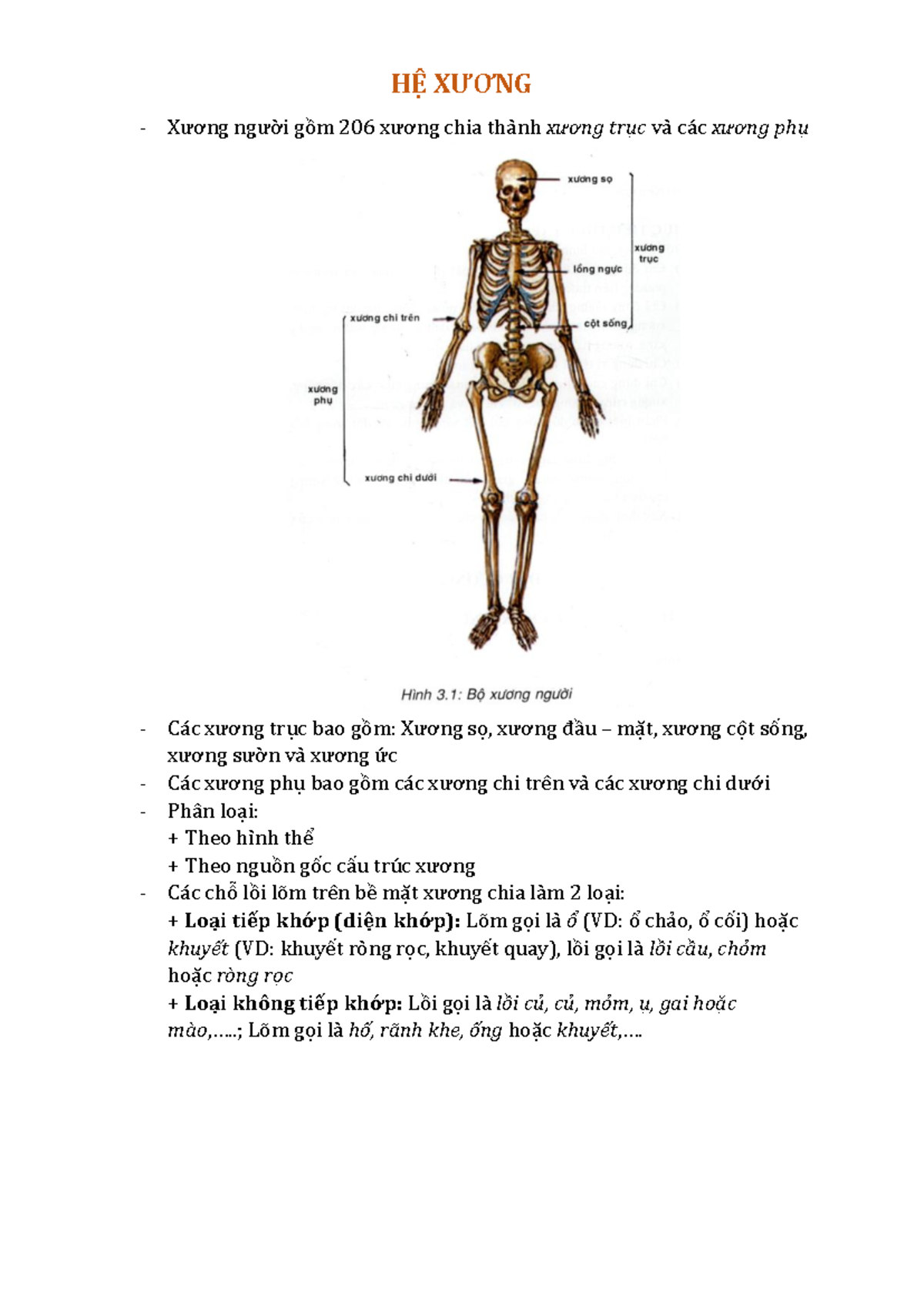XƯƠNG - HỆ XƯƠNG Xương ngươi gồm 206 xương chia tha nh xương trục va ...