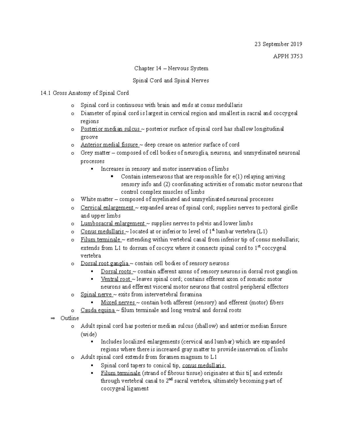APPH 3753 - Chapter 14: Nervous System - Spinal Cord & Nerves Overview ...