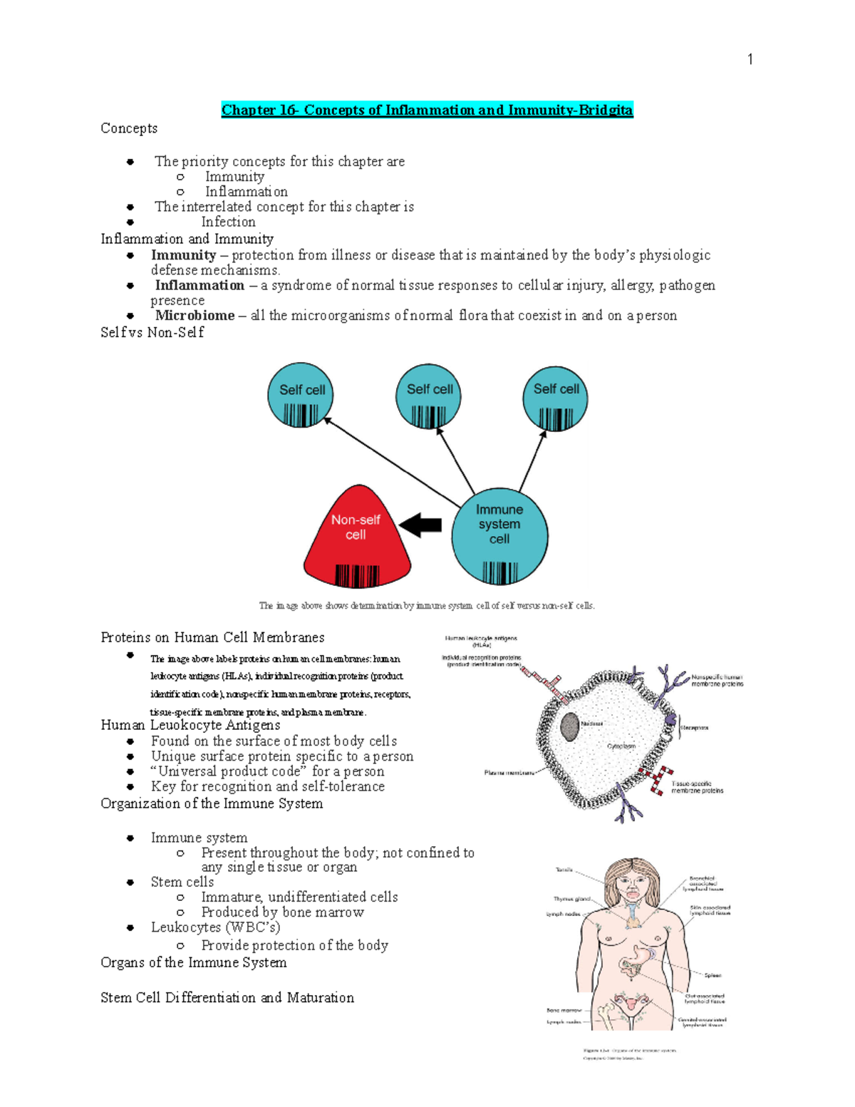 Complex Final Exam PP Notes: Inflammation and Immunity Concepts - Studocu