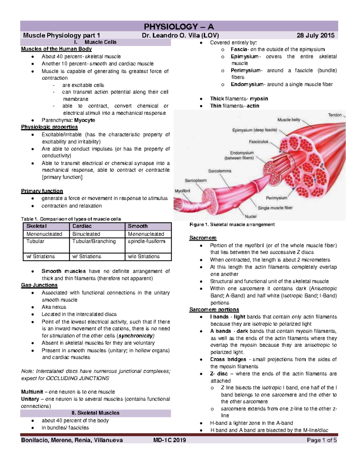 [Physio A] Muscle Physiology I - Lecture Notes by Dr. Vila (Bonifacio ...