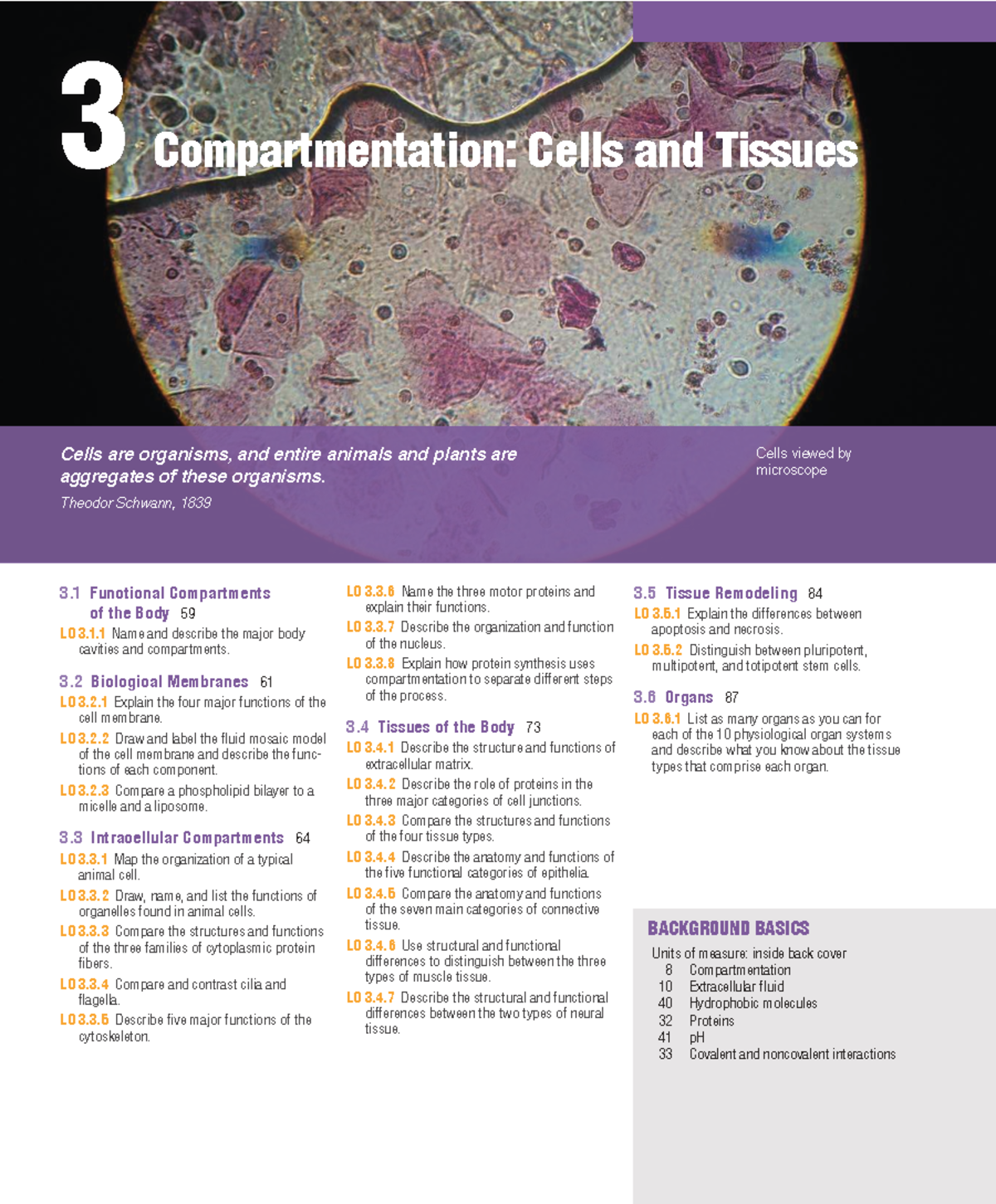Compartmentation in Human Cells and Tissues: Overview and Functions ...