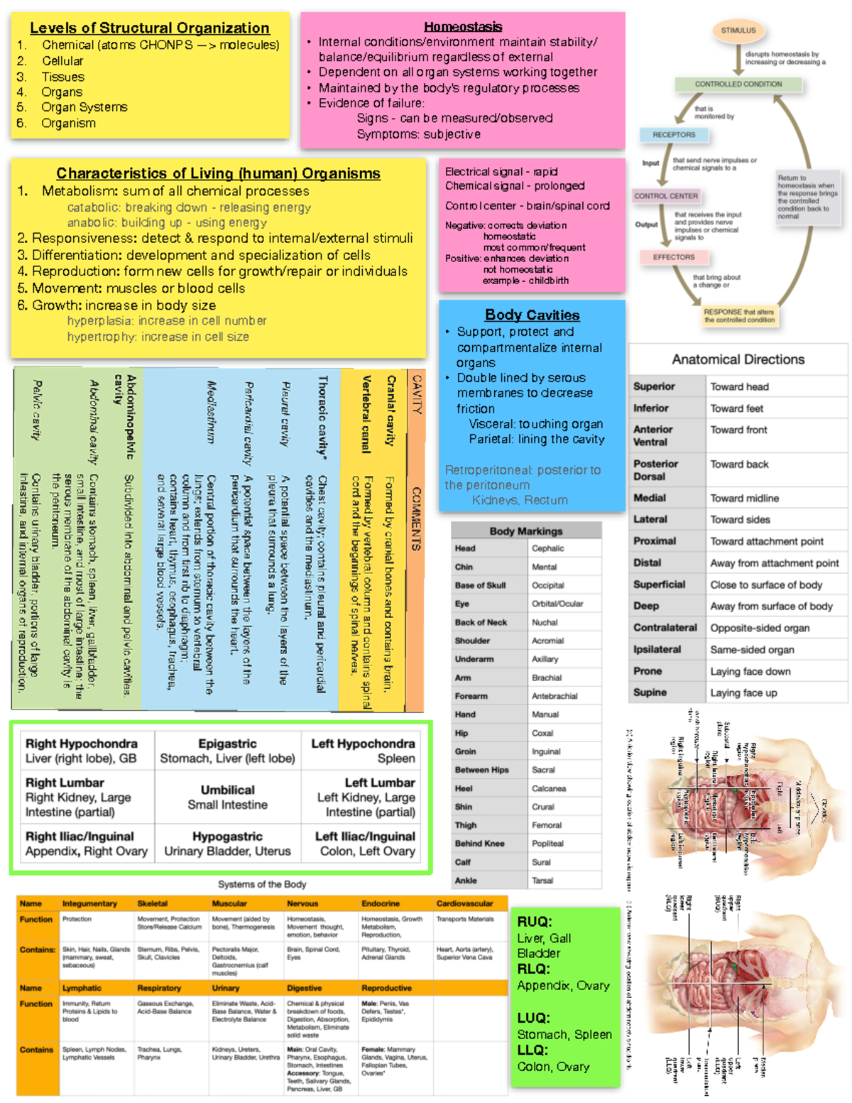 Biology 101: Test 1 Study Notes on Structural Organization and Life ...