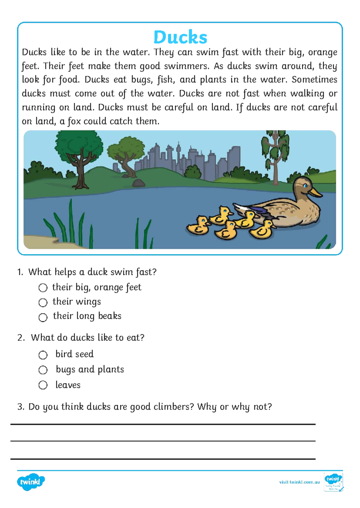 Ducks - Editable Vocabulary Study Guide - Studocu