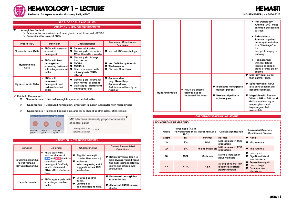 RBC Abnormalities - HEMA311 MIDTERM NOTES on Anemia and Staining ...
