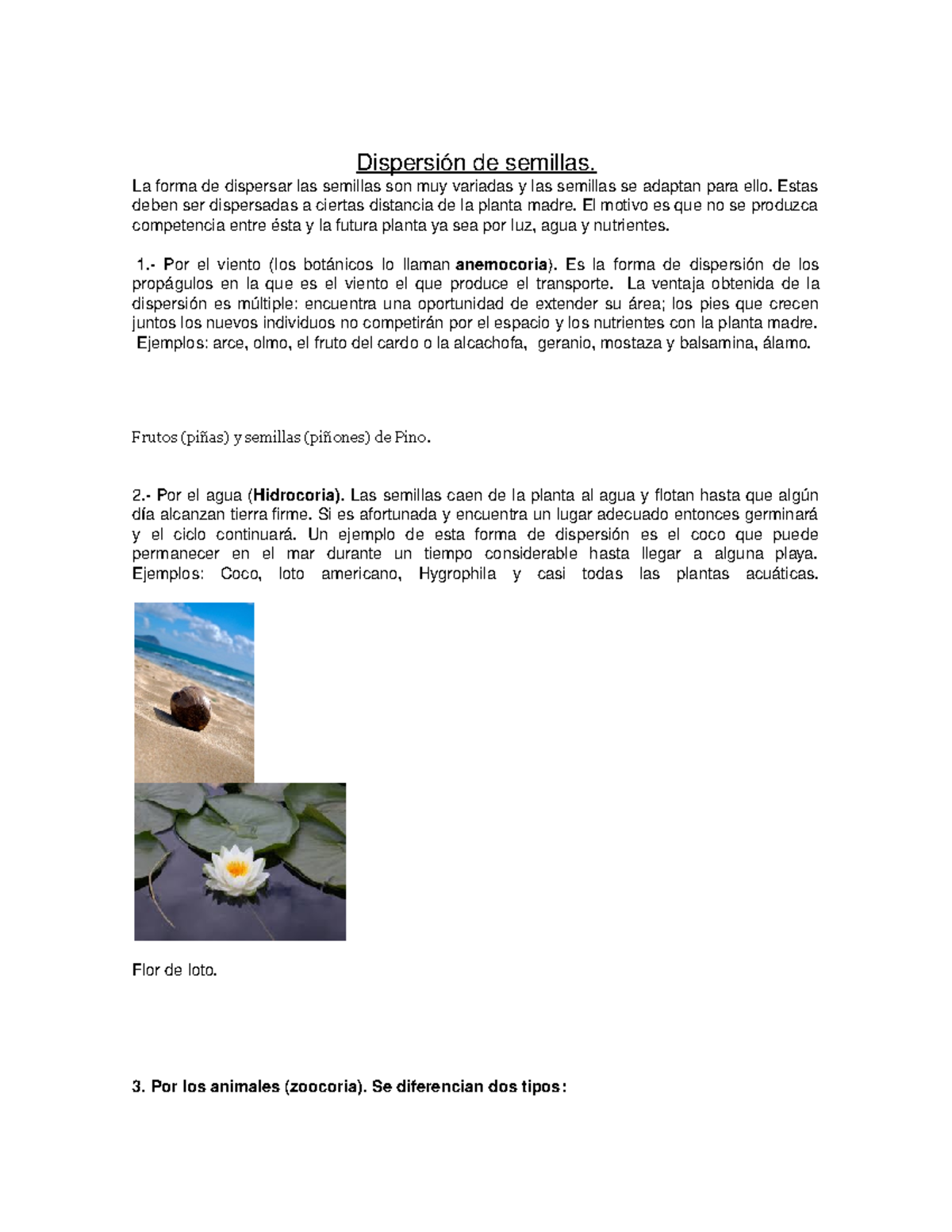 Métodos de Dispersión de Semillas: Anemocoria, Hidrocoria y Más - Studocu, image size:1200x1553