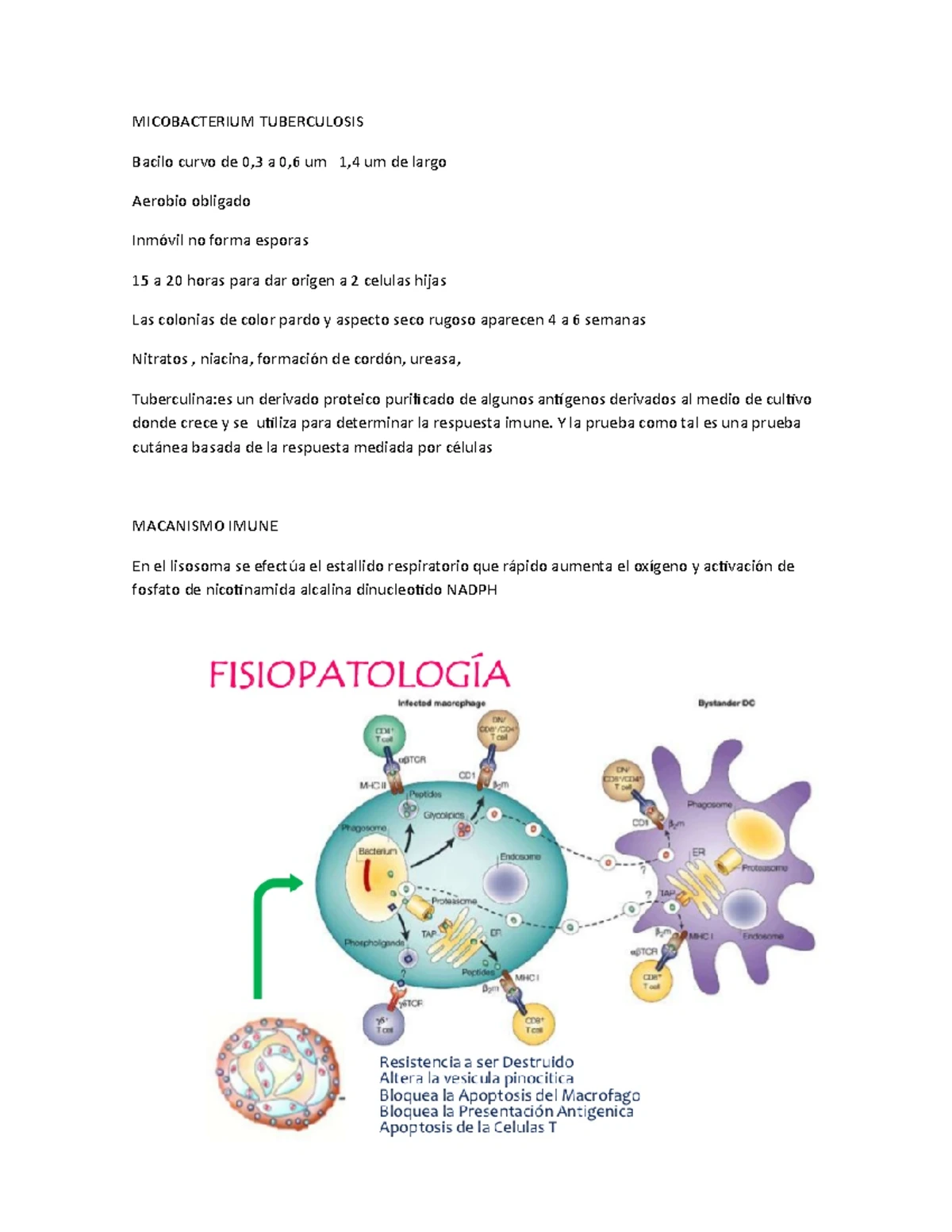 TALLER: VACUNAS - Procesos Inmunológicos UCC - Studocu