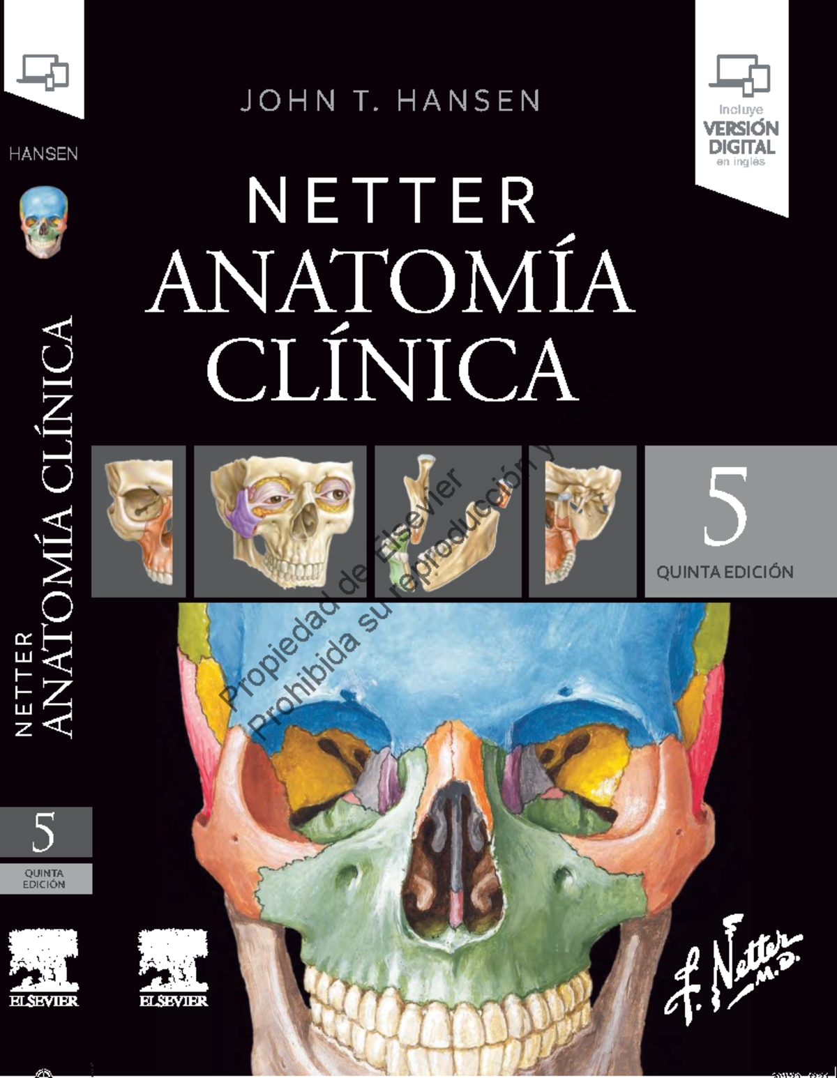 Netter Anatomía Clínica 5ª Edición - J. T. Hansen - Document Preview