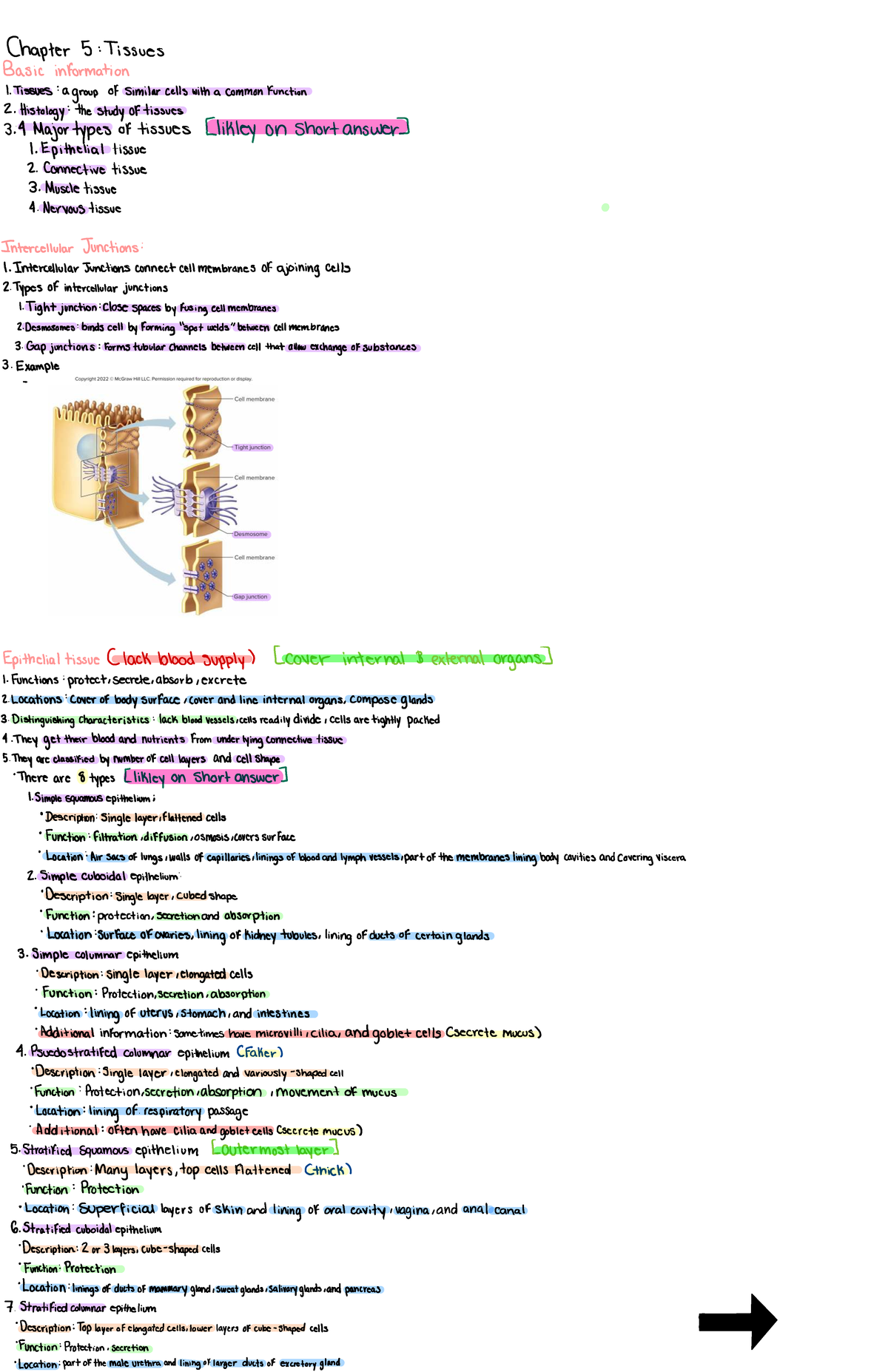Chapter 5 Tissues - Overview and Notes on Histology and Types - Studocu