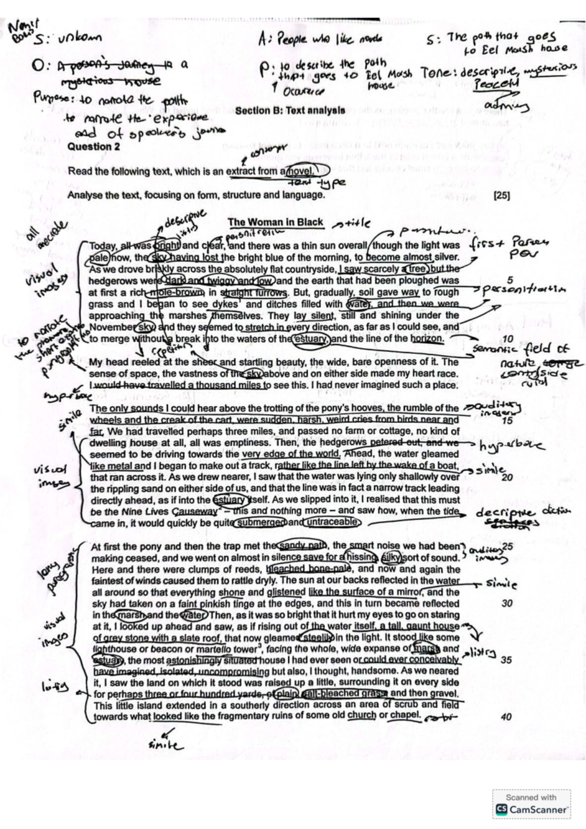 AICE Media Studies Sample Essay: Text Analysis of 